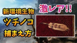 【MHW】激レア！新環境生物「ツチノコ」捕まえ方【解説】