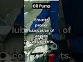 Oil Pump Functions in Automobile #trending #shortsfeed