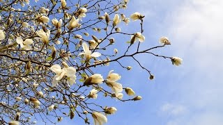 Weerbericht dinsdagochtend: Meer zon