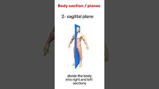 Anatomical planes/sections of the body#education #antony