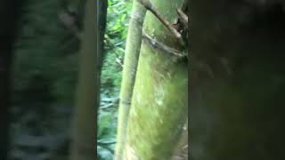 ở quê bình yên lắm các bạn ạ