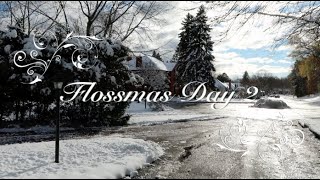 Vlogmas Flossmas Day 2 - Off the Grid Needlearts