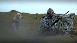 Duckhunting in Iceland