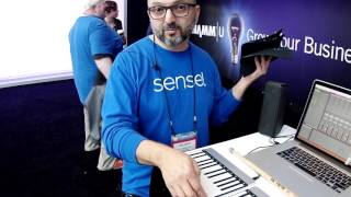 The Sensel Morph Can Be Any Type Of Controller That You Want