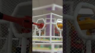 第124集 大满小意玩室内儿童乐园Children's Indoor Playground#shorts #kidsshorts #play #indoorplayground #kids