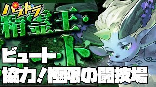 【パズドラ】ビュートで協力！極限の闘技場【ガンフェス2018】