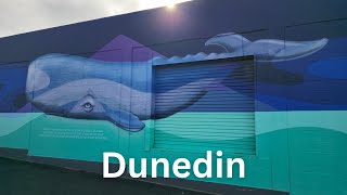 World Tour: New Zealand. S3 - SE9 (Dunedin)