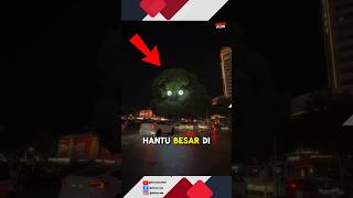 Mengerikan ada burung hantu besar di tengah kota😨