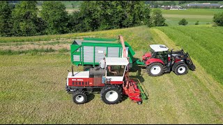 Steyr Mex Mobil am Gras häckseln für Ballenpresse