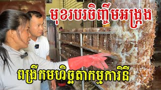 មុខរបរចិញ្ចឹមអង្ក្រង ប្តូរវាសនាកម្មការិនីរោងចក្រ ចង់ពង្រីកមហិច្ឆតាពីចិញ្ចឹមគ្រួសារ ទៅបើកកសិដ្ឋានធំ