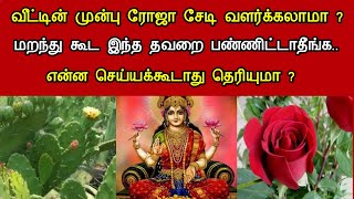 வீட்டின் முன்பு ரோஜா செடி வளர்க்கலாமா ? மறந்து கூட இந்த தவறை பண்ணிடாதீங்க !