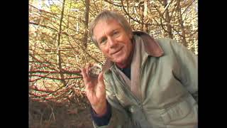 ep 13 Robert Bateman pt 2