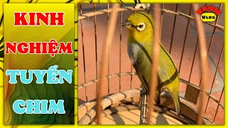 Kinh nghiệm tuyển chim | VKĐM