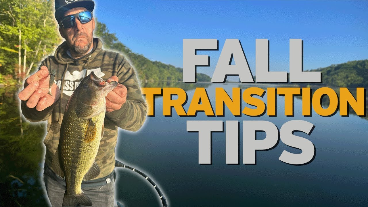 Fall Bass Fishing Tips For The Northeast – Bass Manager | The Best Bass ...