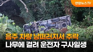 음주 차량 낭떠러지서 추락…나무에 걸려 운전자 구사일생 / 연합뉴스TV (YonhapnewsTV)