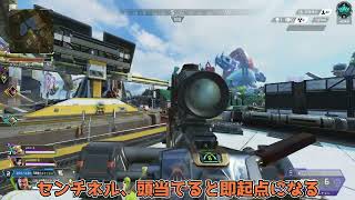 見ないよりは見た方がいいジブラルタルの偏差集3【APEX LEGENDS】