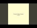Forest Ember Clouds