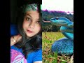 nagin buri 🐍😜🤘। sompriti daily vlog। ytshorts viral trending