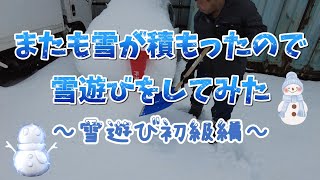 また雪が積もったので雪遊びしてみました。