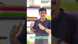 കൂട്ടുകാരുടെ പുതിയ “സംരംഭം”|K4KISAN|#microgreens |#agriculture |#malayalamfarming |#farming |#shorts