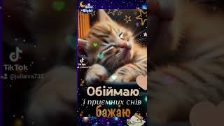 Доброї і тихої ночі!✨🌛🧡