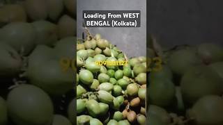 ☎️9038522734 Tender Coconut Supplier from West Bengal(पश्चिम बंगाल से नारियल आपूर्तिकर्ता) #coconut