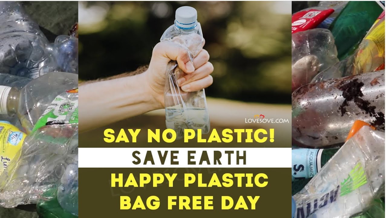 International Plastic Bag Free Day I 3rd July I SLOGANS On No Plastc I ...