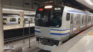 総武快速線E217系　東京駅総武地下3番線　発車メロディー付き　twilight