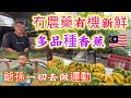 EP873🇲🇾冇農藥有機新鮮多品種香蕉👍🏻😁