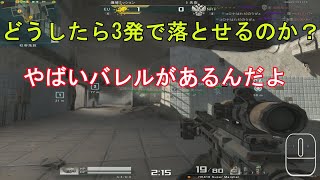 【AVA】いろぶき！防具貫通28なのに3発落としするヤベー武器【HK416 Super Marshal】