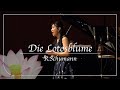 オペラ歌手 石橋栄実が歌う R.シューマン：「ミルテの花」Op.25より蓮の花