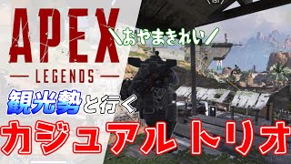 【Apex Legends】野良観光勢と行く、カジュアルトリオ【FPS初心者実況】