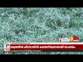 മൈനസ് ഡിഗ്രിയിലെത്തി മൂന്നാറിലെ താപനില moonnar news climate change