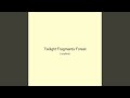Twilight Fragments Forest