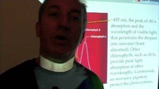 Ocean Productivity - Chlorophylls & "Helper" Pigments