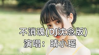 晴小瑶--不消魂（DJ沈念版）『山河故人难相逢 长叹一声』