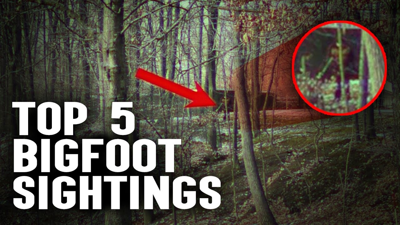 5 Compelling Bigfoot Sightings Caught On Camera - YouTube