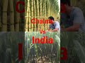 chaina vs india shots உங்களுக்கு எது புடிச்சிருக்கு கமெண்ட் பண்ணுங்க