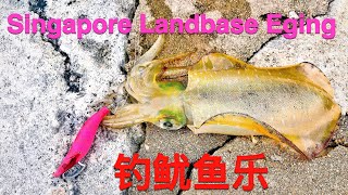 Landbase Eging Fishing at Marina | How To Squid Fishing | 钓鱿鱼乐