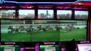 STARHORSE3　第50回プレミア　決勝店舗動画