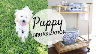 PET ORGANIZATION: 5 TIPS HOW TO INCORPORATE A PUPPY IN YOUR HOME