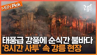 올해 첫 '소방 대응 3단계'...민가 덮친 강릉 산불 현장 [엠픽]