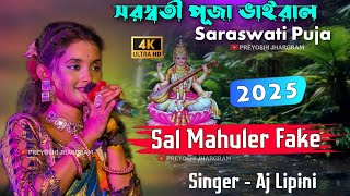 Sal Mohuler Fake | Aj Lipini New Jhumar Song 2025 | Lipini Jhumar Stage Program Kudmali Jhumar Song