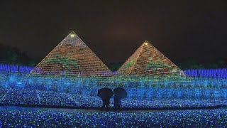 【なばなの里】恒例のイルミネーション　今年は「黄金のピラミッド」も　三重・桑名市「なばなの里」