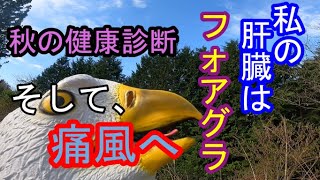 【秋の健康診断】中性脂肪が下がった！しかし、私の肝臓はフォアグラになっている・・・のか！？【そして、痛風へ・・・】