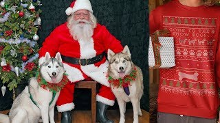 Huskies Meet Santa And New Merch