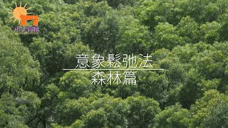 意象鬆弛法 – 森林篇  | 中大有晴 Sunshine At CUHK