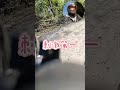 太白山礦場 白米林道 台灣抹茶山