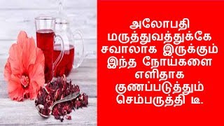 செம்பருத்தி டீ -யின் மகிமை. | Hibiscus tea | தமிழ் | N P .