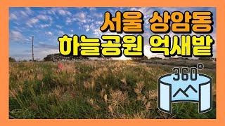 360VR 【5.7K】 #181 🇰🇷서울여행 | 상암동 하늘공원 억새밭 풍경 [Insta360 ONE X]